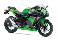 Ninja 300